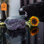 باکس پذیرایی پریما پلاستیک