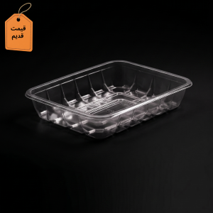 ظرف یکبار مصرف پروتئینی T1000 فیروز