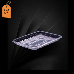 ظرف یکبار مصرف پروتئینی T500 فیروز